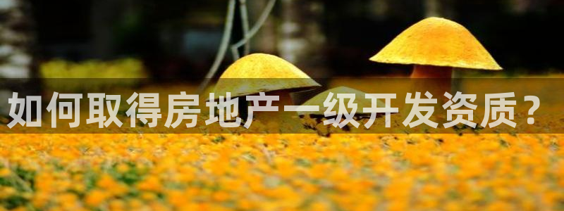 永利股份产品介绍