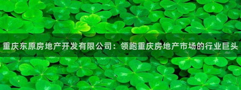 莱州永利集团