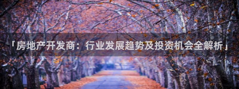 佛山永利工业皮带