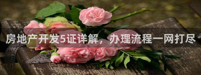 永利电影