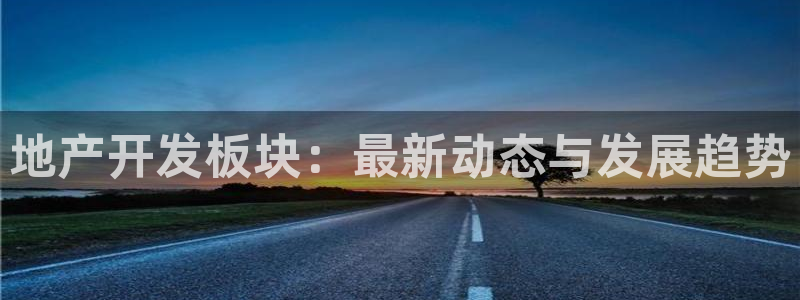 永利房地产有限公司董事长是谁
