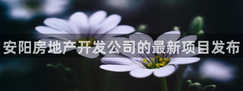 滨州市永利汽车销售服务有限公司