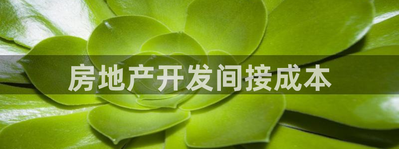 浙江永利集团
