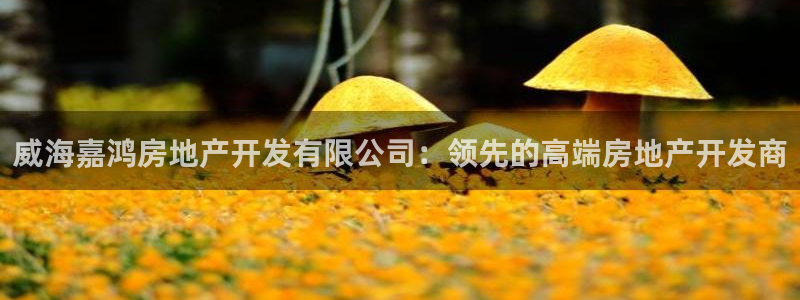 永利批发市场在哪里