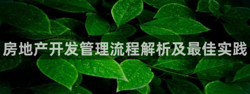 永利集团董事长什么级别