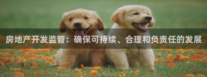 永利 陈志玲