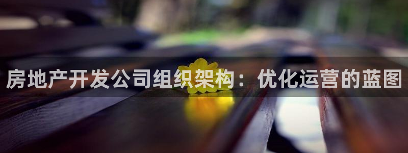 永利官网
