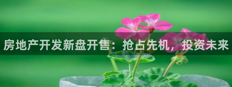 永利保险公司排名