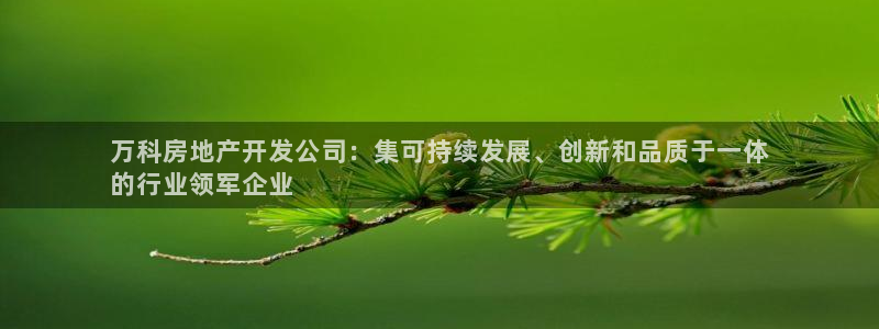 佛山永利工业皮带