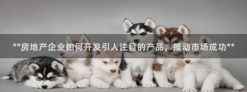 永利股份是做什么的