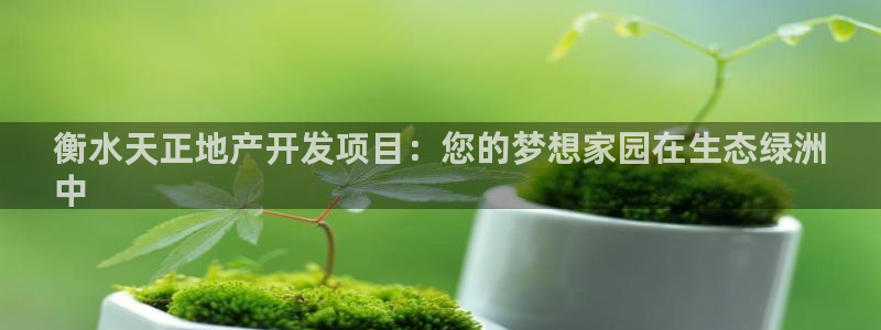 永利输的钱可以弄回来吗是真的吗