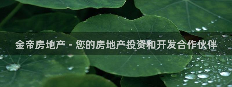 永利网怎么了打不开