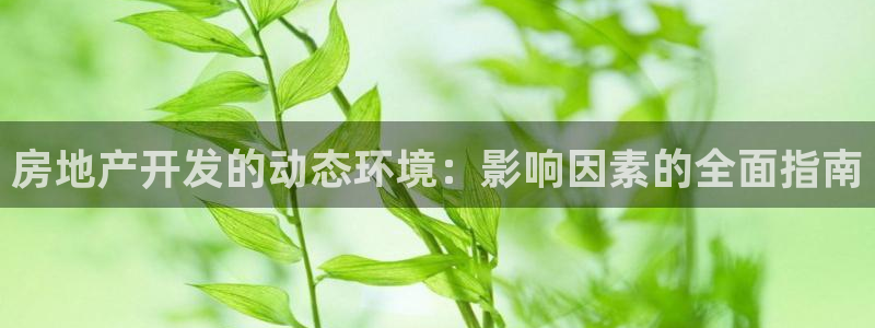 永利中国的老板是谁