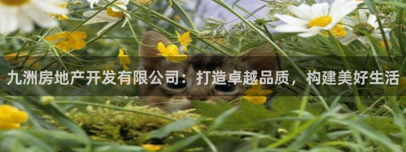 永利积分卡怎么算的