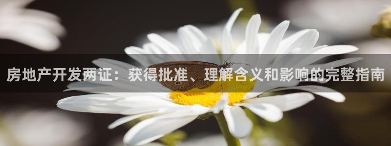 永利皮具