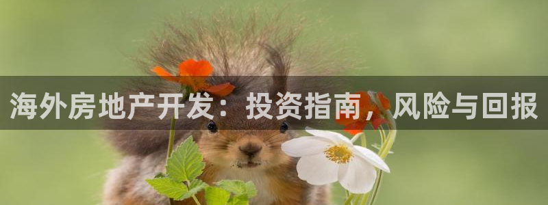 永利游乐城网址查询
