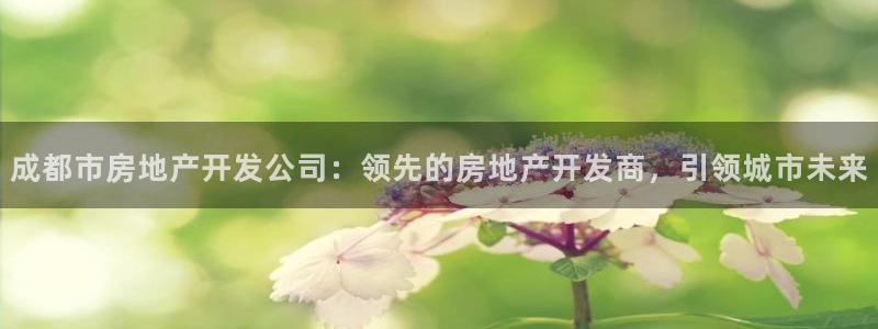 永利集团董事长什么级别