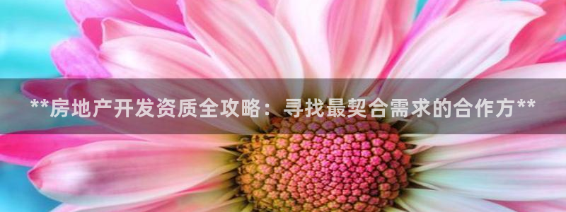 永利 陈志玲
