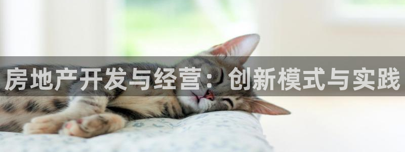 永利汇招聘
