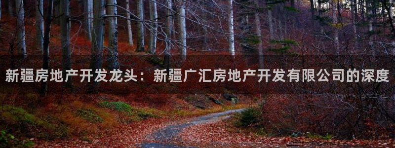 永利带业公司怎么样
