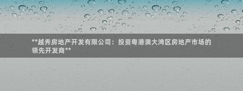 永利皮具厂东莞