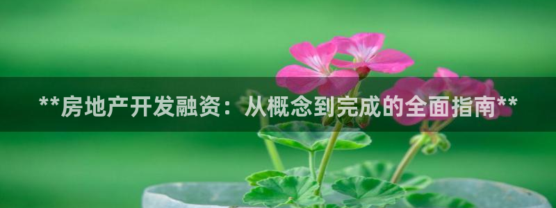 永利皮具lv工厂
