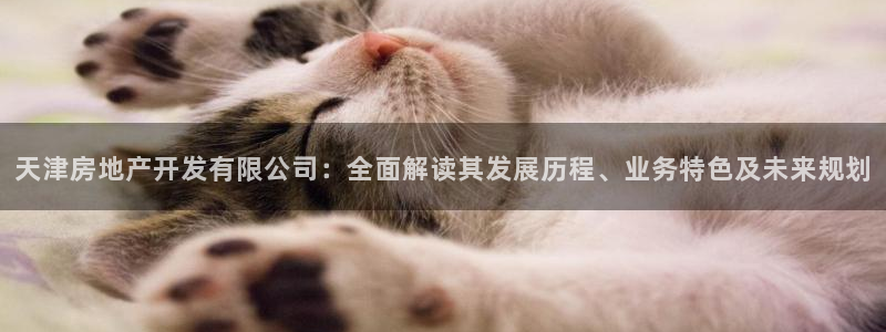 永利官网服务承诺