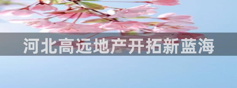 永利汇茶具怎么样