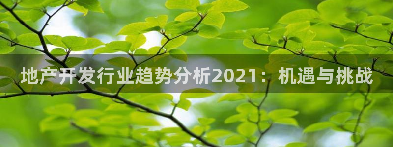 永利资管幕后老板