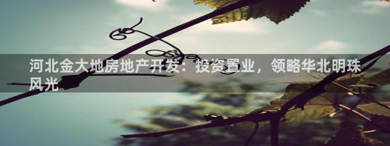 永利资管幕后老板