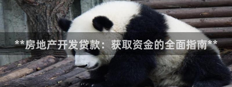 永利网是受国家法律保护吗