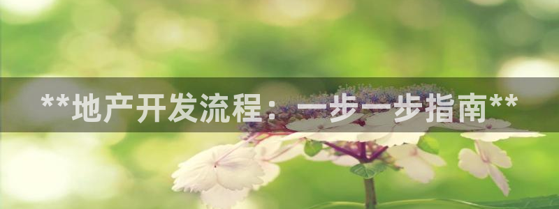 永利汇茶具怎么样