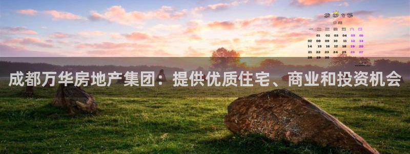 永利皮带
