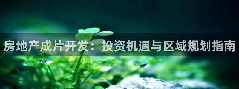永利皮带型号说明图