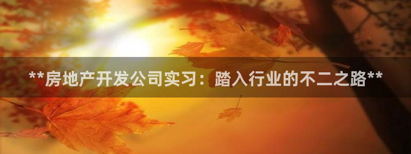 永利制带
