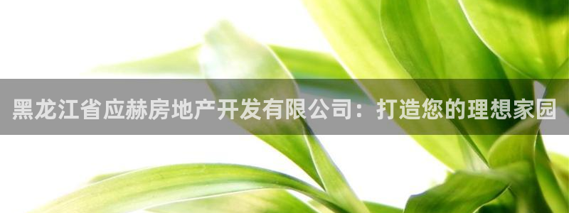 永利建筑材料有限责任公司