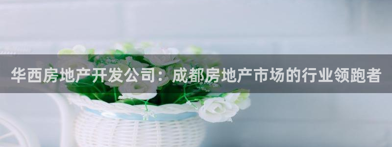 永利皮带型号说明图解
