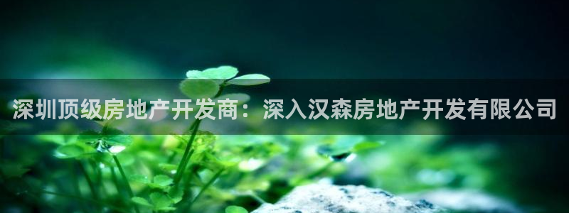 永利是啥意思